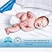 AirExpect Waterproof Mattress Protector Full Size 100% Organic Cotton Hypoallergenic Breathable Mattress Pad Cover, Dust Mite Proof, Bed Bug Proof, 18