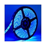 Water-Resistance IP65, 12V Waterproof Flexible LED Strip Light, 16.4ft/5m Cuttable LED Light Strips, 300 Units 3528 LEDs Lighting String, LED Tape(Blue) Power Adapter not Included