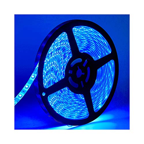 Water-Resistance IP65, 12V Waterproof Flexible LED Strip Light, 16.4ft/5m Cuttable LED Light Strips, 300 Units 3528 LEDs Lighting String, LED Tape(Blue) Power Adapter not Included