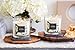 Aromascape 3-Wick Scented Jar Candle, Jasmine & Gardenia