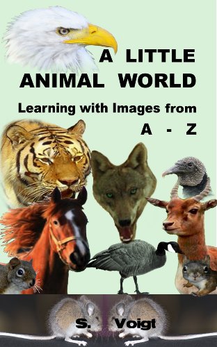 Decor Home: All The Animals In The World A To Z