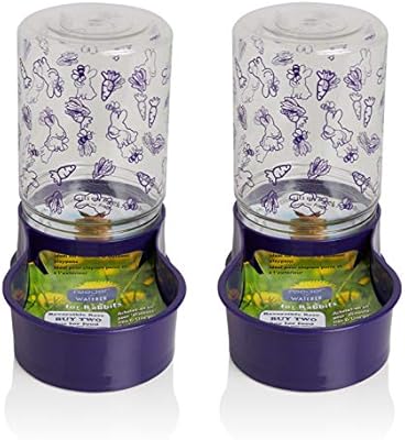 Amazon Com Lixit Feeder Waterer For Rabbits 48 Oz Pack Of 2