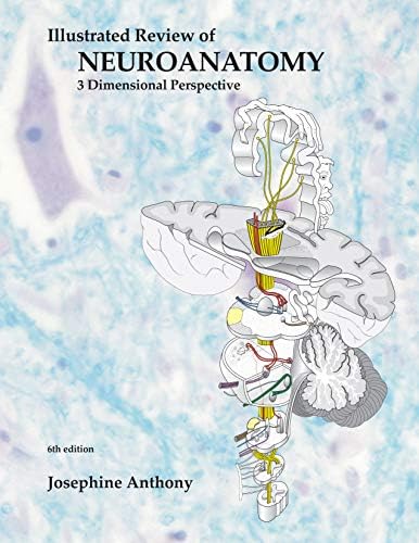 Amazon.com: Clinical Neurology and Neuroanatomy: A Localization