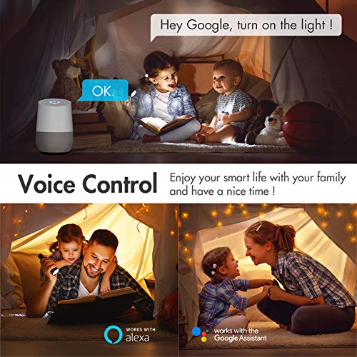 iMagic 15A Smart Plug, Outdoor Wi-Fi Outlet Works with Alexa, Google Home for Voice Control, Remote Control with Smartphone, 15A Max for More Appliances, Timer, No Hub Required, FCC Certified(2 Pack)