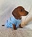 National Pride Puppy T Shirt Pet Summer Clothes Cute Vest Blue Small