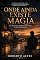 Livro ONDE AINDA EXISTE MAGIA: Um romance sobre recomeços e pertencimento