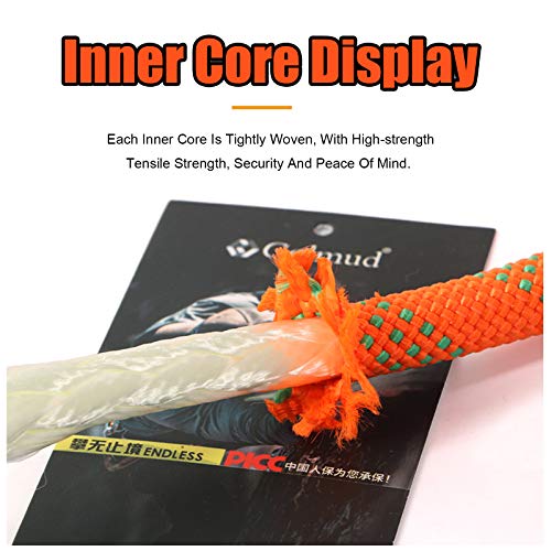 Orange 12mm Statisches Kletterseil, Nylon-Sicherheitsseil, Baumklettern, Eisklettern, Doppelkarabiner… – Bild 3