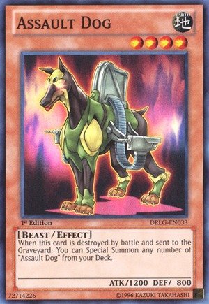 Yu-Gi-Oh! - Assault Dog (DRLG-EN033) - Dragons of Legend - 1st Edition - Super Rare