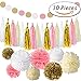30 piece Tissue Paper Pom Poms Flowers Tissue Garland