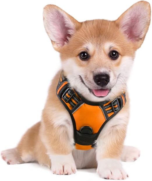 anti pull dog harness amazon