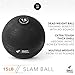 Day 1 Fitness Weighted Slam Ball, 15 LB, Black