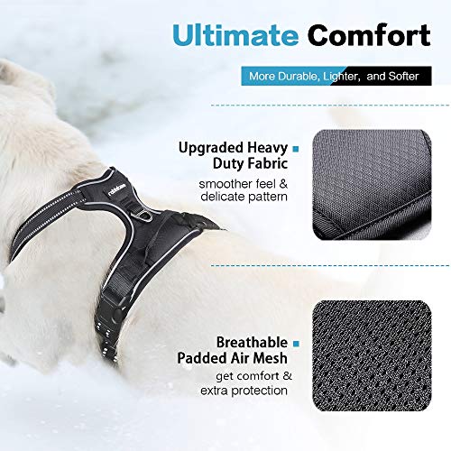 rabbitgoo NoPull Dog Harness Leash Set Heavy Duty Halter Harness with Leash for Large Dogs