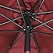 Tourke 9 Ft Patio Umbrella Outdoor Table Umbrella Crank, 8Rids, Push Button Tilt (Wine)