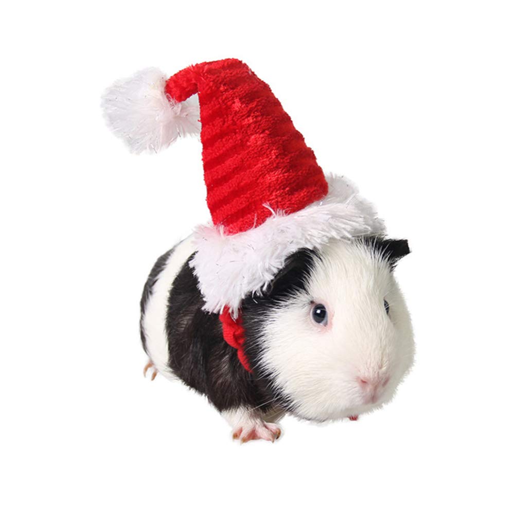 POPETPOP Guinea Pig Christmas Hat - Small Animal Santa Claus Costume Cosplay Headwear for Hedgehog Chinchilla Hamster Ferrets and Kitten