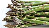 10 Asparagus Roots Jersey Knight - MALE DOMINATE - TASTY - No GMOs