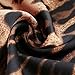 Women Jumpsuit Fitfulvan Leopard Printed V-Neck Bodysuit Catsuit Yoga Long Sleeve Bodysuit Ladies Casual Playsuit Top