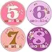 Baby Girl Monthly Milestone Stickers 1-12 Months Newborn Girl Butterfly Bodysuit Stickers by Mumsy Goose