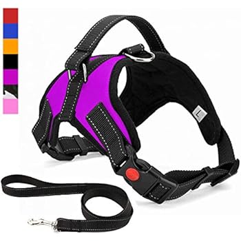 Musonic No Pull Dog Harness, Breathable Adjustable Comfort, Free Leash Included, for Small Medium Large Dog, Best for Training Walking Purple