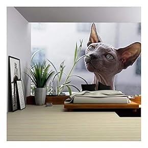 D Dog Smells The Grass - Removable Wall Mural | Self-Adhesive Large Wallpaper - 66x96 inches
