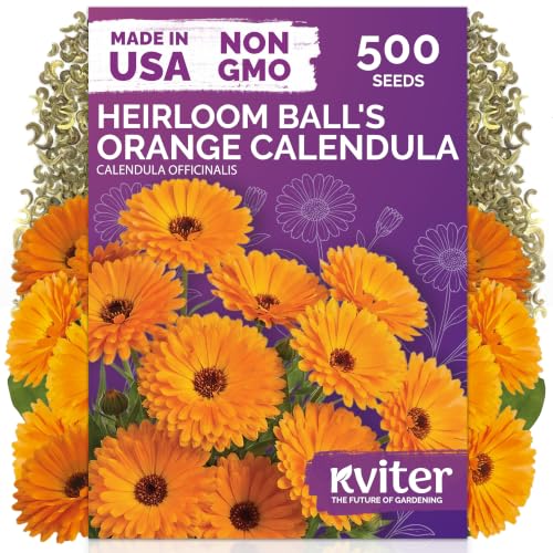orange Ball's Calendula Heirloom Flower Seeds