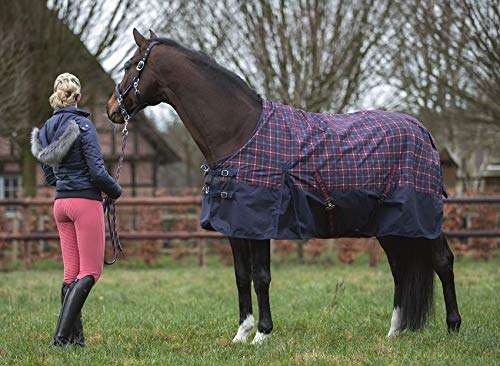 HKM PRO TEAM Speed 135 Horse Rugs Blue/Red/Chequered