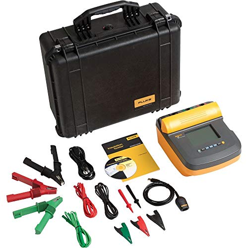 Fluke 1555/KIT Insulation Resistance Tester Kit, 2