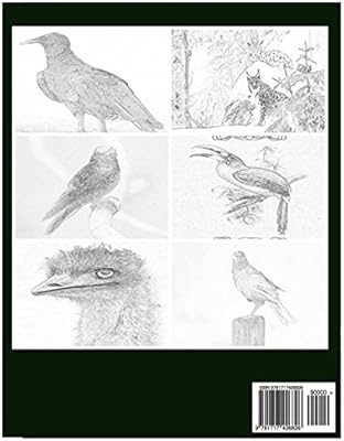 86+ Coloring Book Quoll Free