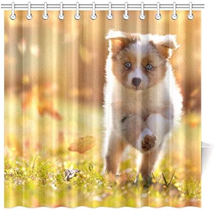 Amazon Kwesg シャワーカーテン 黄色ジャンプ犬 浴室カーテン バスカーテン 風呂 防水 防カビ 180x180cm C形カーテンリング付属 シャワーカーテン ホーム キッチン オンライン通販