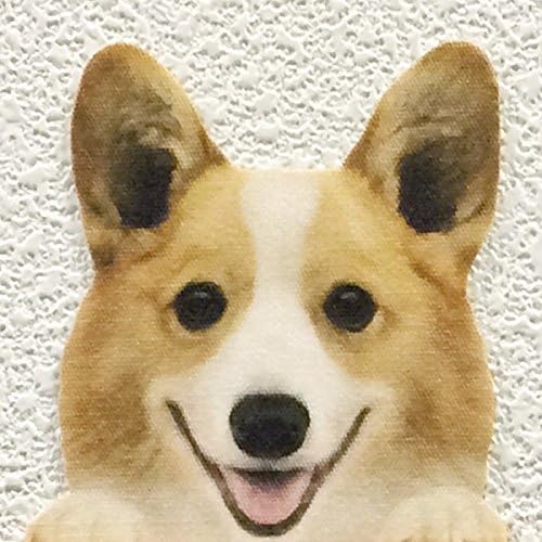 Amazon Co Jp ウォールステッカー Dog Life Color コーギーb ホーム キッチン