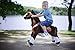 Smart Gear Pony Cycle Black Stallion Riding Toy :  World's First Simulated Riding Toy for kids Age 3-5 Years Ponycycle ride-on small