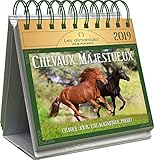 Chevaux majestueux : Chaque jour, une magnifique photo by