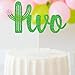 Cactus Two Cake Topper Mexican 2nd Birthday Succulent Theme Fiesta Cake Decor Double Sided