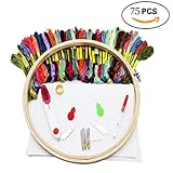 Wey's Full Range of Embroidery Starter Kit Cross Stitch Tool Kit Including 10 Inch Bamboo Embroidery Hoop, 36 Random Color Threads, 12 by 18-Inch 14 Count Classic Reserve Aida and Tool Kit