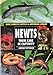 Newts: Their Care in Captivity (Basic Domestic Reptile & Amphibian Library) by Jordan Patterson (199 by