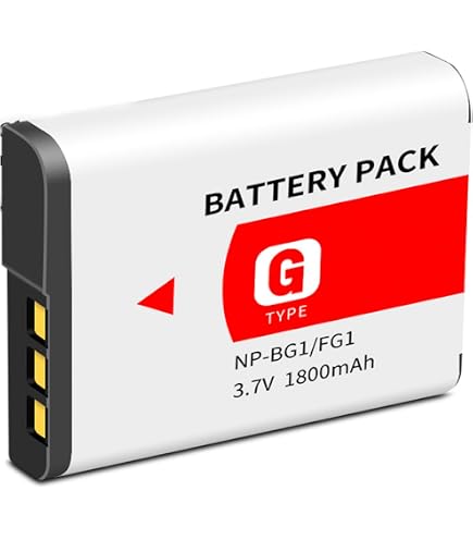 Amazon.com : Kastar Battery (1-Pack) Replacement for Sony NP-BG1