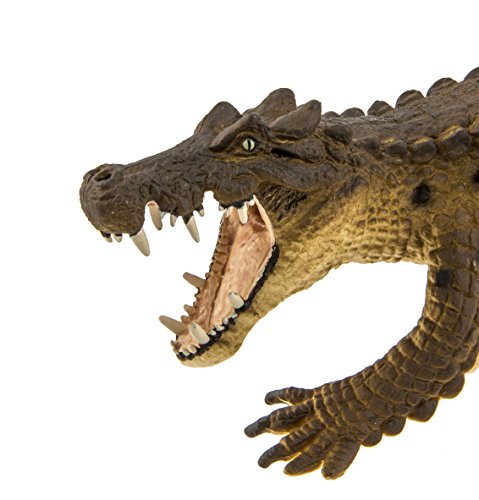 Safari Ltd  Wild Safari Kaprosuchus