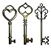 Salome Idea 30PCS Assorted Antique Skeleton Keys, Vintage Steampunk Keys, Juliet Collection (Bronze)