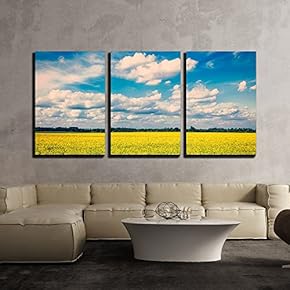3 Piece Canvas Wall Art - Vintage Retro Effect Filtered Hipster Style Image of Yellow Canola Field with Blue Sky - Modern Home Art Stretched and Framed Ready to Hang - 16"x24"x3 Panels