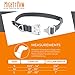 Mighty Paw Metal Buckle Dog Collar, All Metal Hardware, Lightweight Collar, Reflective Stitching, Strong, Durable (Medium, Grey)