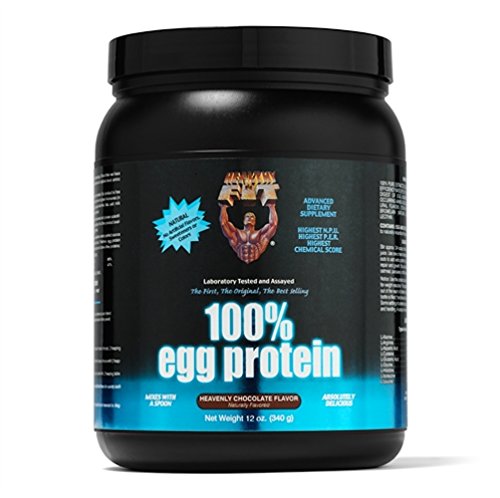 Healthy 'n Fit 100% Egg Protein 12-Ounce Bottle Chocolate,  Tub