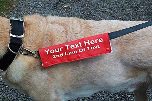 anxious dog leash