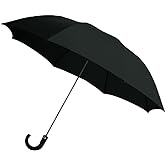 Rainbrella 2-Fold Auto Open Umbrella