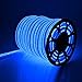 DELight 150ft 110V Blue Flexible LED Neon Rope Light Indoor Outdoor Holiday Valentines Party Decor Lighting