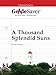 GradeSaver (TM) ClassicNotes A Thousand Splendid Suns: Study Guide