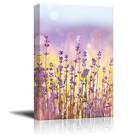Canvas Prints Wall Art - Lavender Flowers Bloom in Summer Time | Modern Wall Decor/Home Decoration Stretched Gallery Canvas Wrap Giclee Print & Ready to Hang - 18" x 12"