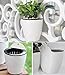 Sungmor Self Watering Wall Planter - Modern White & 3PC Pack & Large Size - Indoor Outdoor Vertical Flower Pot - Wall Mounted Window Hanging Pot - Water Storage Space Design Container