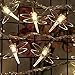 String Lights Night Light Waterproof Dragonfly Lights String Plug in Powered Female Plug (MAX 10) String LED Lights Decorations Wedding Party Christmas (Warm White, 32Feet 100Led)