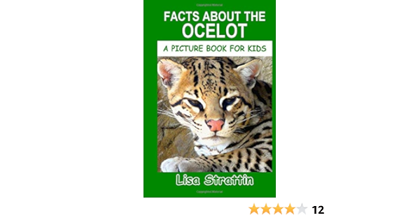 ocelot for kids
