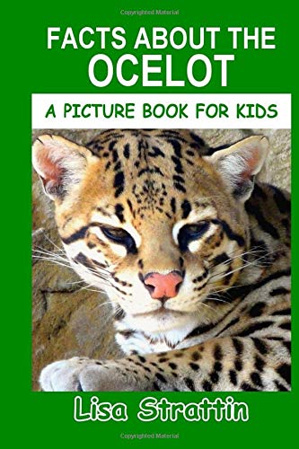 ocelot for kids