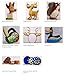 Burger King Open Season Complete Kid's Meal set - 2006